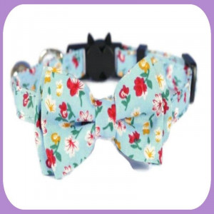 Collar-235